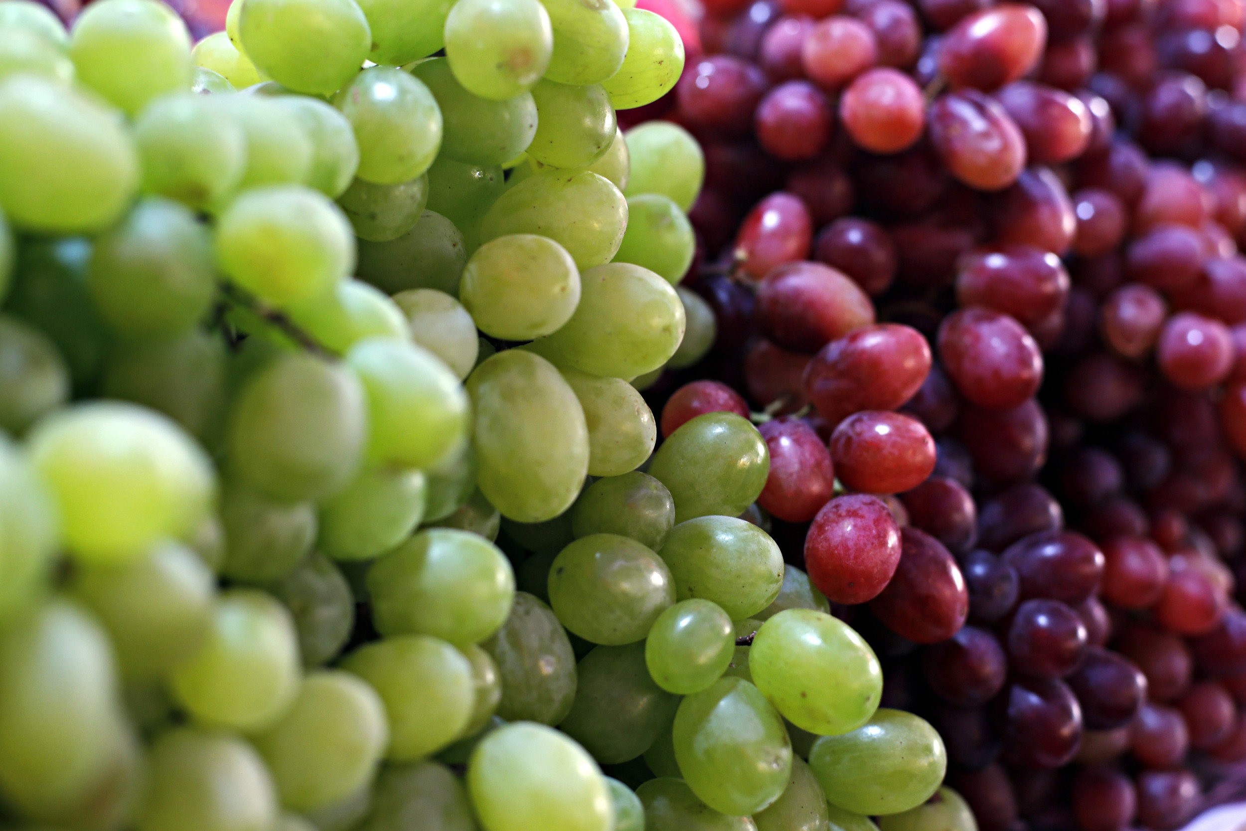 Frutas ajudam a reduzir vontade por doces; veja boas opções