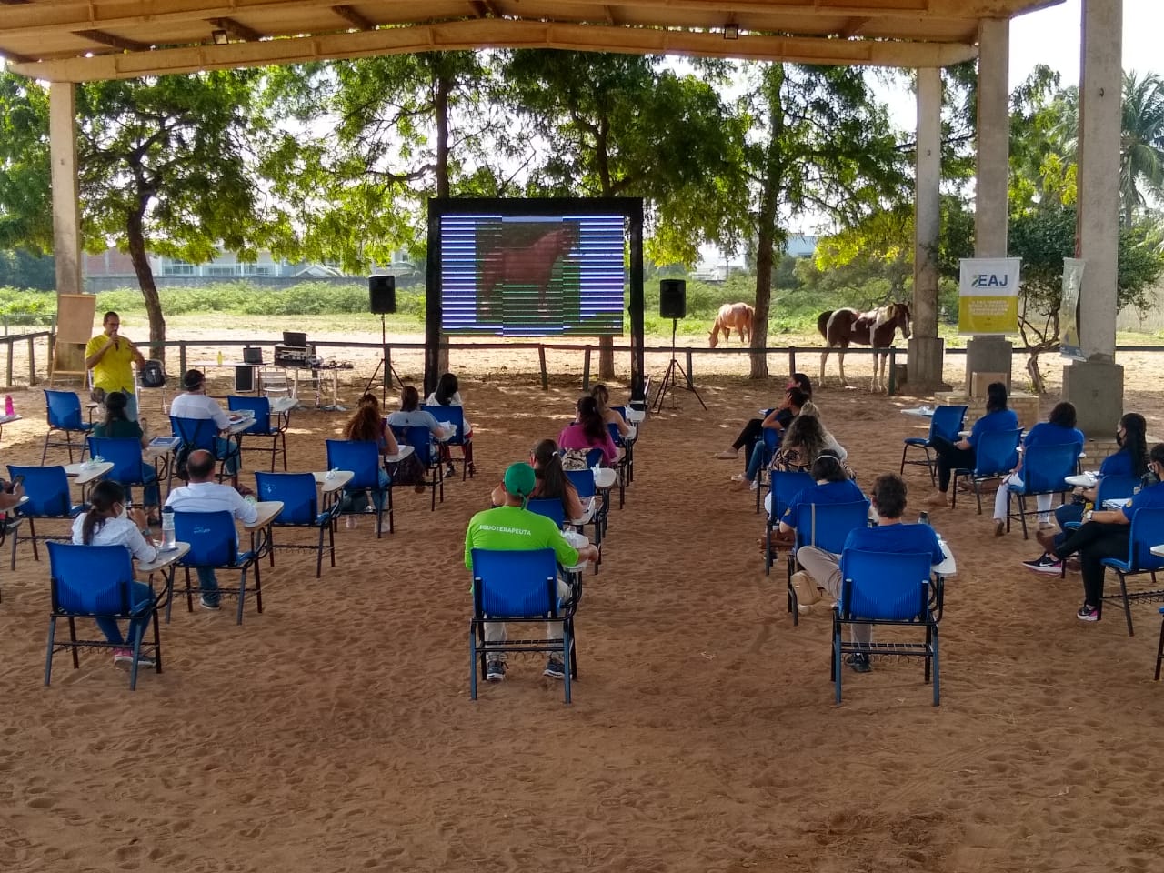 Inédito no RN, Curso de Equoterapia possibilita ampliação de terapias para reabilitação de pessoas com deficiência