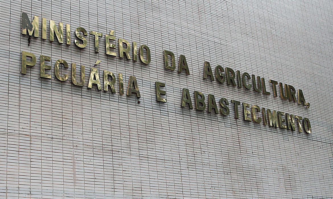 Ministério confirma casos de vaca louca e Brasil suspende exportação de carne para a China