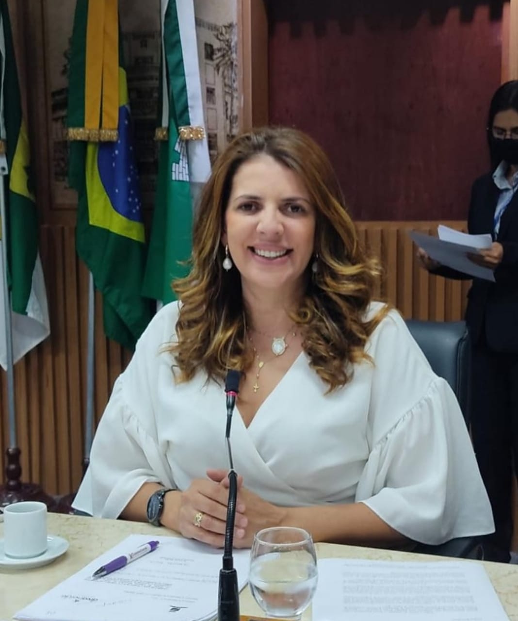 Vereadora Nina faz apelo a ministros e deputado: “Ajudem o Passo da Pátria”