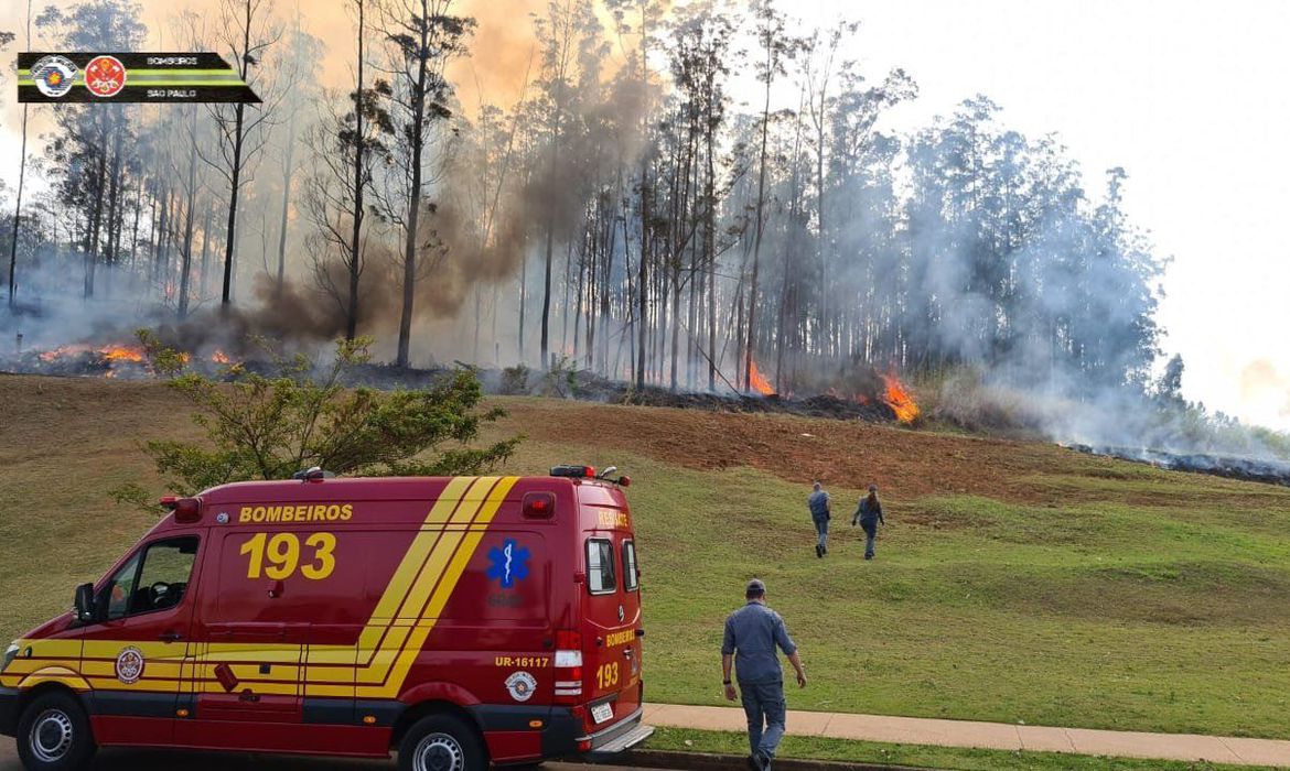 VÍDEO: Queda de aeronave deixa sete mortos em SP