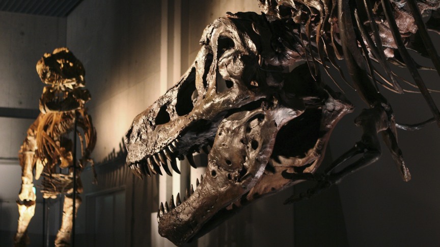 Doenças dos dinossauros podem informar sobre como as espécies viveram e morreram