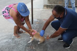 Macaíba realiza Dia D de vacinação antirrábica neste sábado (02)