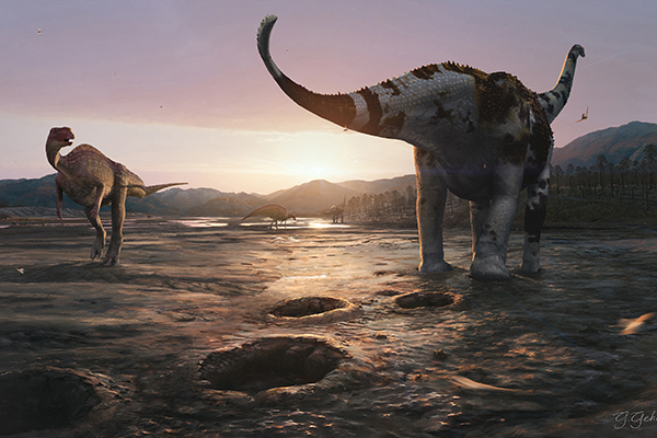 Identificadas primeiras pegadas de dinossauros no RN