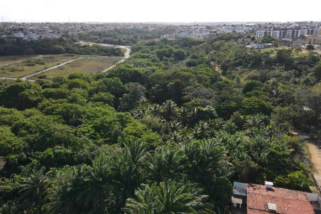 Mulher é encontrada com vida em mata de capital nordestina após 4 dias de sumiço