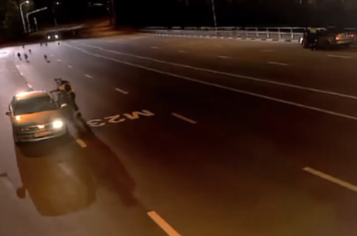 Em vídeo inusitado, policial entra desesperado em carro que fiscalizava para fugir de lobos; assista