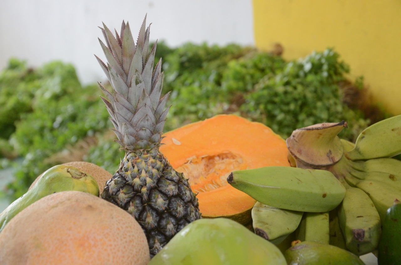 São Gonçalo: Prefeitura já distribuiu mais de 250 toneladas de alimentos em 2021