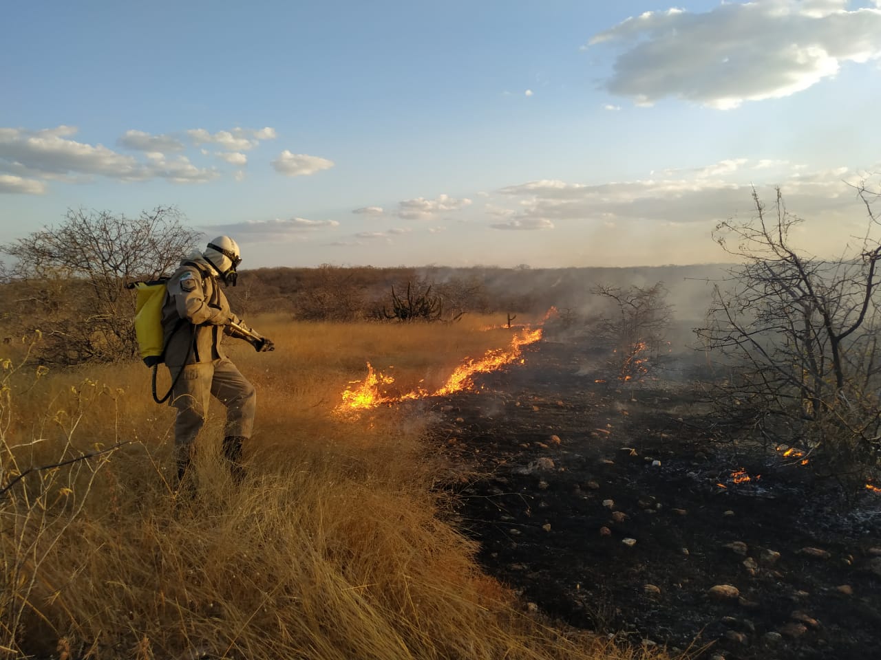 Número de ocorrências de incêndios florestais no RN aumenta 42% em 2021