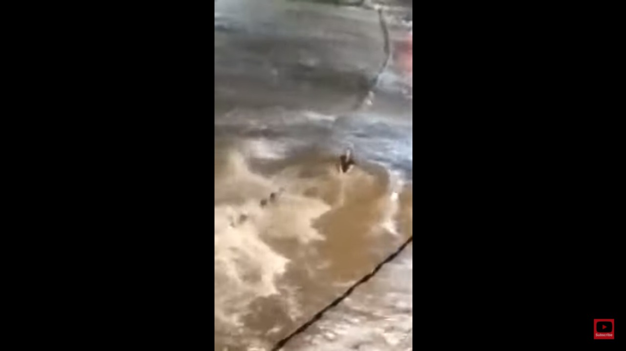 VÍDEO: Mulher segura no teto do veículo para não ser levada por enxurrada