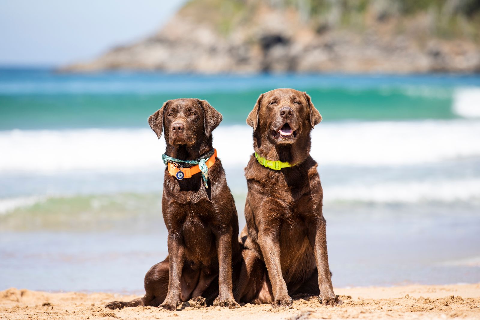 CACAU SURF DOG ESTREIA NO CENÁRIO ESPORTIVO EM NATAL