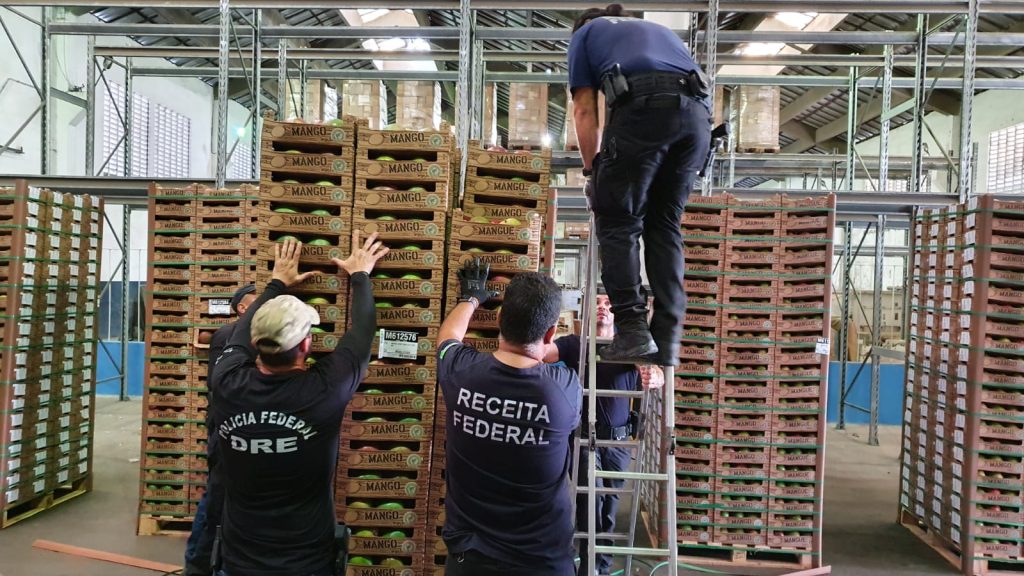 VÍDEO: Polícia Federal apreende 265 kg de cocaína no Porto de Natal em carga de manga com destino a Holanda