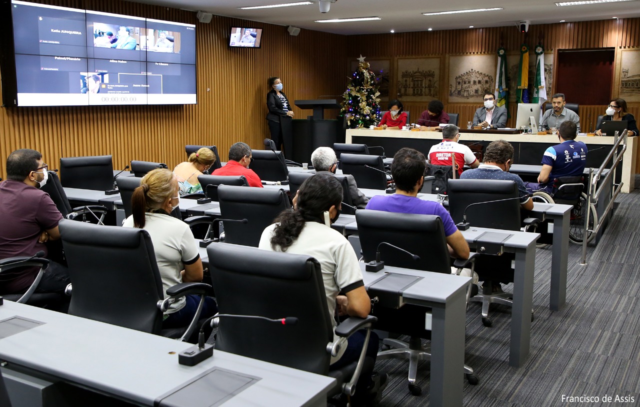 Acessibilidade com foco no Plano Diretor é debatida em comissão da Câmara