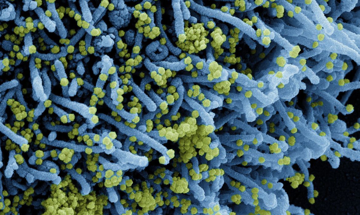 Alerta: Cientistas descobrem nova variante do coronavírus com 32 mutações