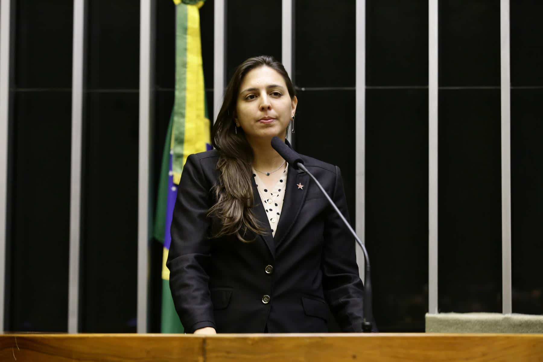 Natália Bonavides diz ser coautora de projeto que não seria dela; deputada reafirma participação