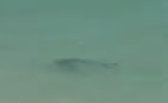 Vídeo com suposto Tubarão em praia do RN viraliza; veja se é verdade e assista
