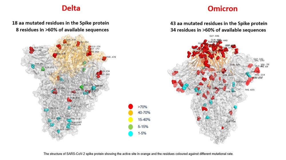 Primeira imagem da variante ômicron revela mais que o dobro de mutações que a delta; veja