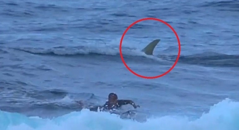Vídeo mostra surfista remando na base do desespero ao ver tubarão bem atrás dele; assista