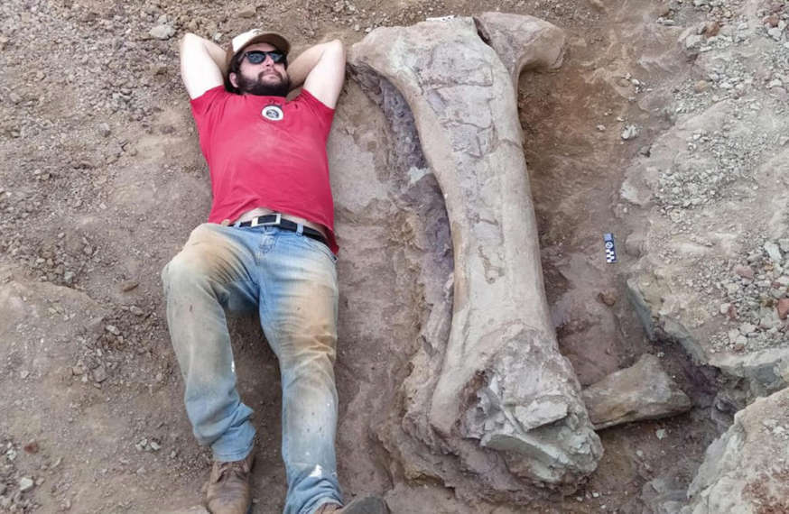 Fêmur gigante de dinossauro encontrado no Nordeste assusta pesquisadores