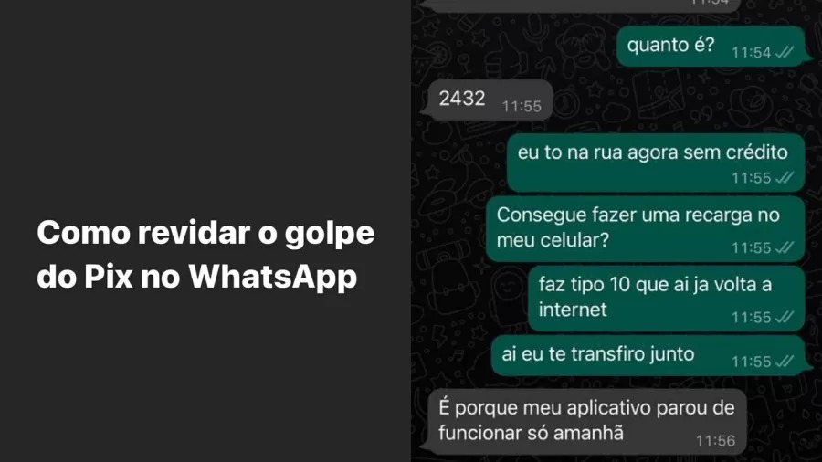 Homem aplica contragolpe e ganha dinheiro de golpista na internet; saiba como fazer também