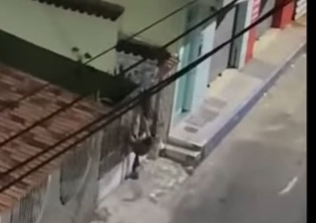 VÍDEO: Ladrão fica pendurado só de cueca em portão