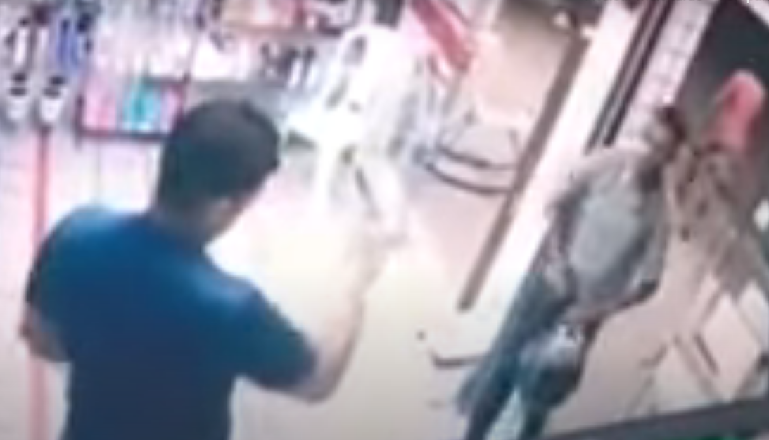VÍDEO: Homem implora para não levar tiro em assalto