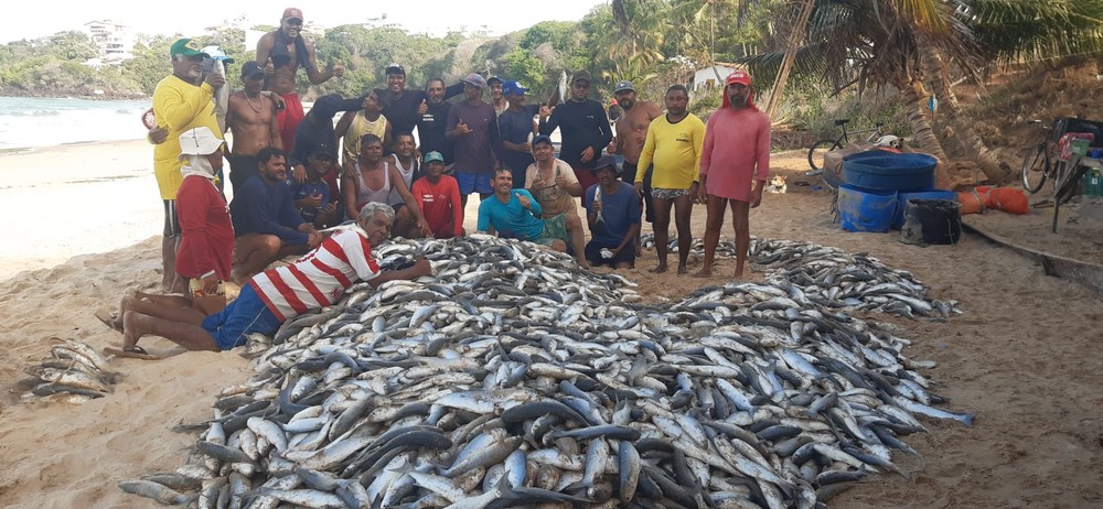 VÍDEO: Pescadores capturam mais de 8 mil peixes e surpreendem frequentadores de praia no RN; assista