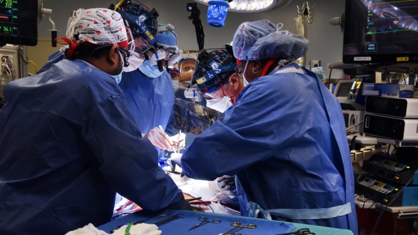 Homem recebe 1º transplante de coração de porco
