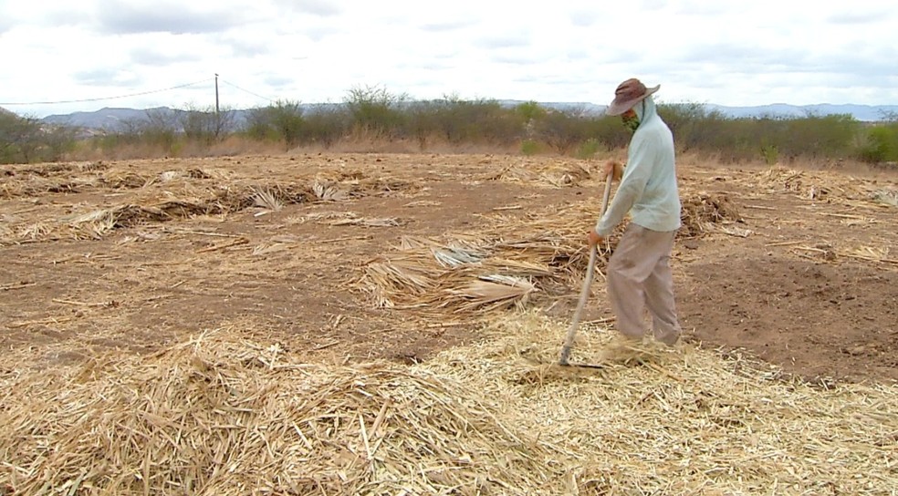 Governo do RN não cumpre promessa, paga com atraso e agricultores ficam sem Seguro-Safra em janeiro
