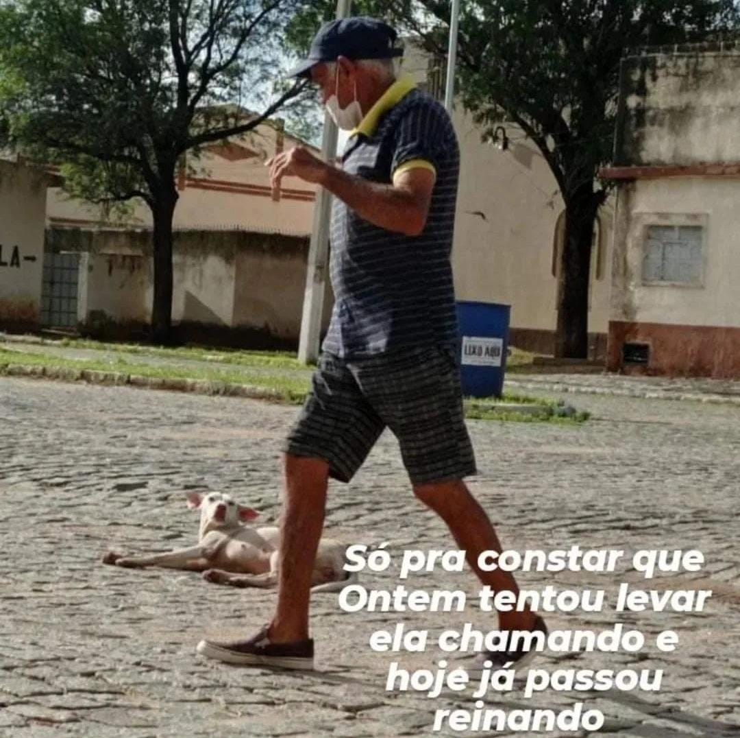 Homem é preso por "estuprar" animais de rua no RN e causa indignação nas redes