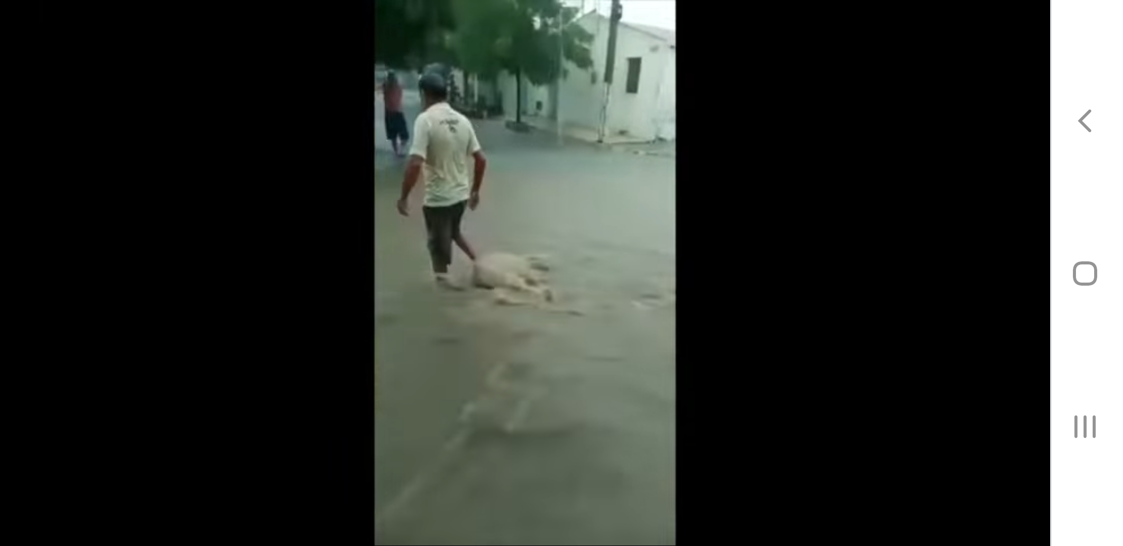 VÍDEO: Fortes chuvas alagam casas e ruas em mais uma cidade no interior do RN