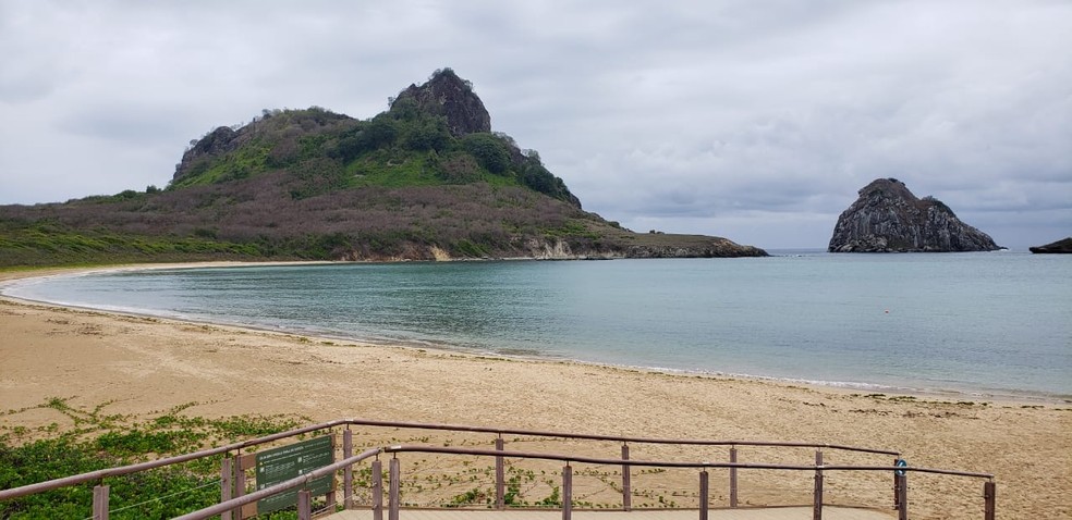 Criança de 8 anos é atacada por tubarão em Fernando de Noronha