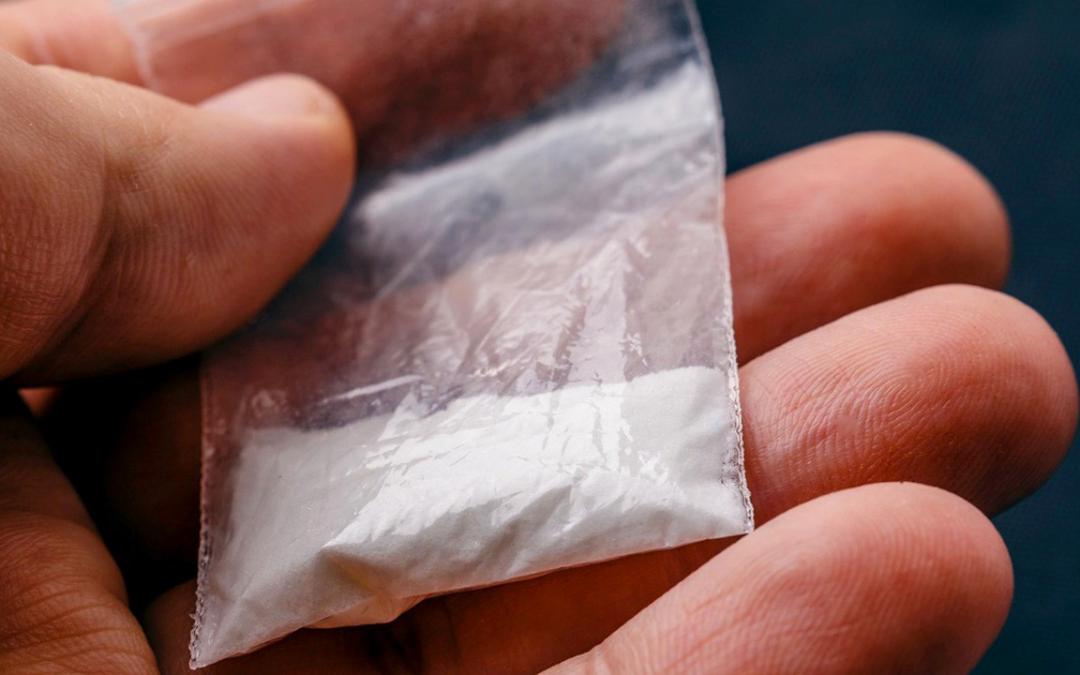 Cocaína envenenada que matou mais de 20 tinha anestésico para elefante