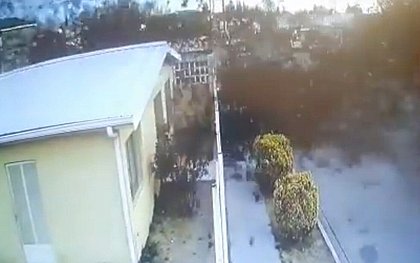 VÍDEO: Centenas de aves caem do céu ao mesmo tempo no México