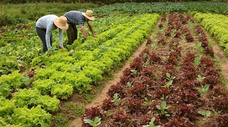 Governo do estado lança projeto para reutilizar água na agricultura