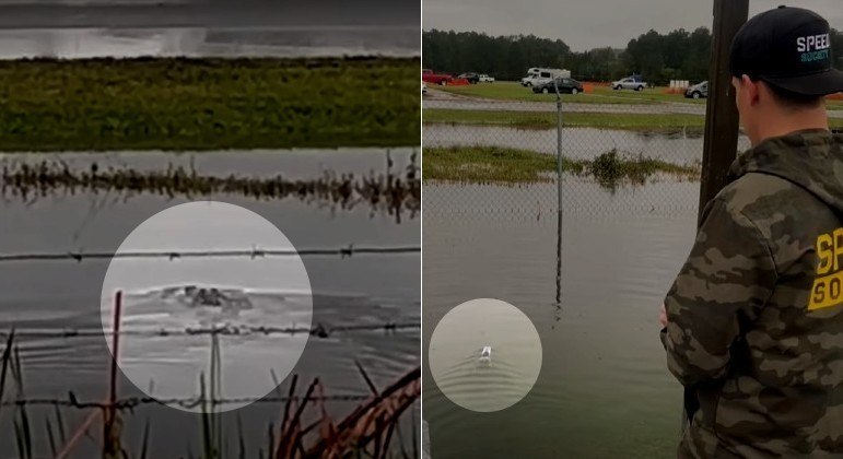 Jacaré abocanha barco de controle remoto, para surpresa do condutor, VEJA VÍDEO