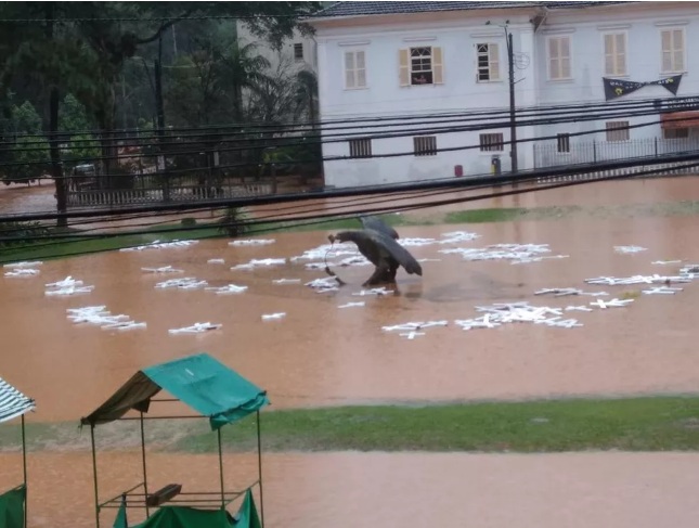 VÍDEO: Novo temporal deixa cinco mortos e alaga ruas em Petrópolis