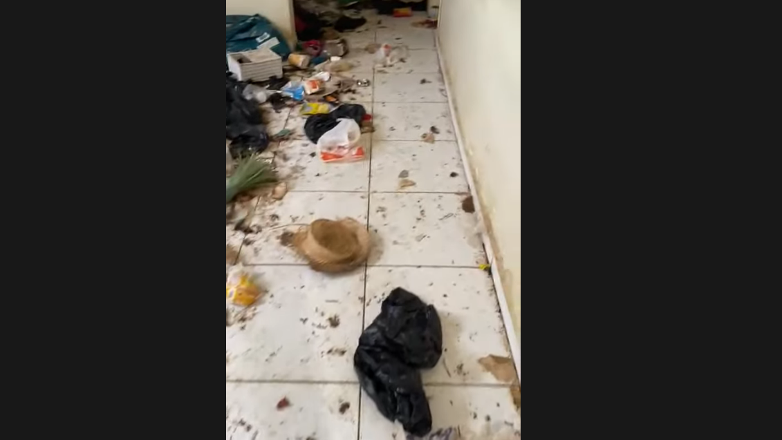 VÍDEO: Criança e 23 cachorros são resgatados de casa com pilha de lixo, fezes e urina em Mossoró