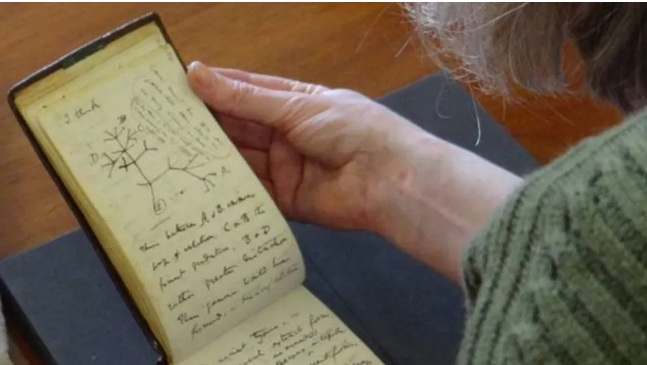 Cadernos de Charles Darwin "roubados" reaparecem misteriosamente 22 anos após sumiço