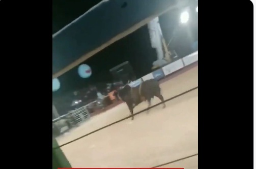 VÍDEO: Touro invade arquibancada e fere 13 pessoas durante rodeio