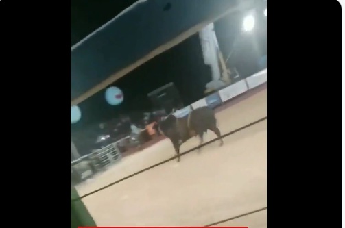 VÍDEO: Touro invade arquibancada e fere 13 pessoas durante rodeio