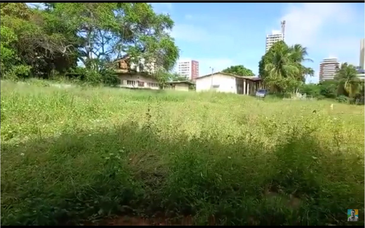 VÍDEO: Abandono faz área de escola estadual em Natal parecer uma floresta