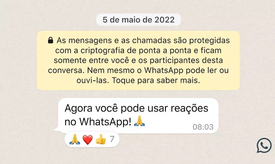 WhatsApp começa a liberar reações com emojis para usuários