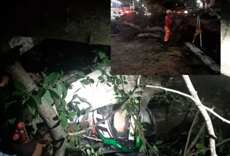 Motociclista atingido por queda de árvore em Natal teve lesões no fígado e nos rins e segue internado em estado...