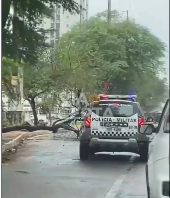 Árvore cai em cima de carro em importante avenida de Natal
