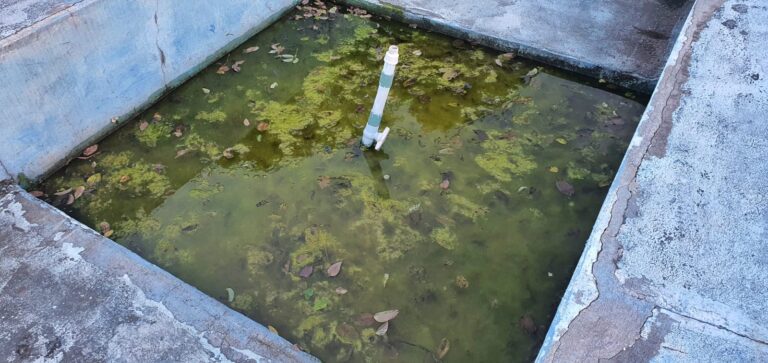 VÍDEO: Abandonada, fonte luminosa do viaduto de Ponta Negra acumula água parada em plena epidemia de dengue