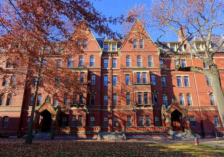 Curso da Universidade Harvard é oferecido de graça, online e em português