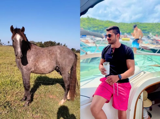 Bêbado, jovem compra cavalo em leilão e só descobre no outro dia: 'Não sei cuidar do cachorro, imagina de cavalo'