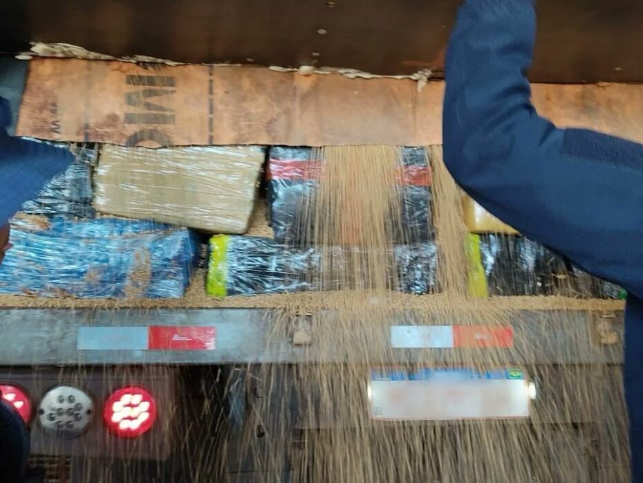PRF apreende 16,1 toneladas de maconha em caminhão que transportava soja