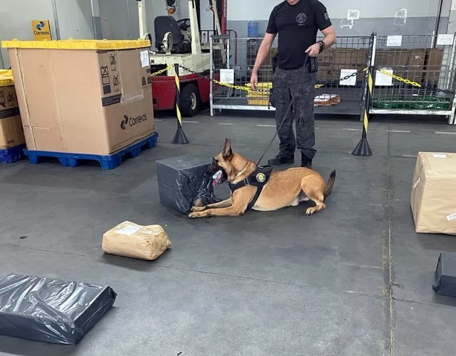 Com ajuda de cães farejadores, PF apreende quase 8 kg de maconha enviada via Correios em Natal