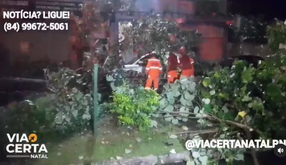 Árvore cai em cima de carro em Natal
